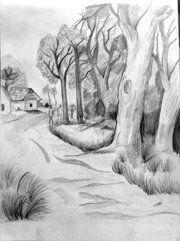 сельский пейзаж карандашом