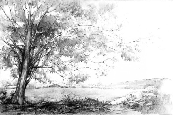 наброски пейзажа