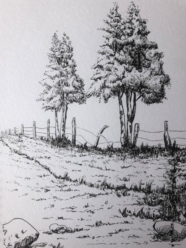 зарисовка пейзажа