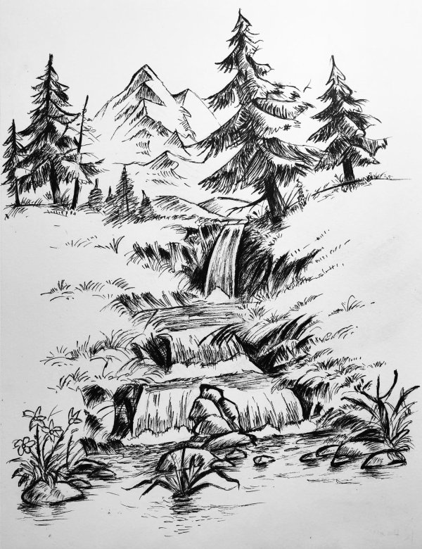 скетчи природы