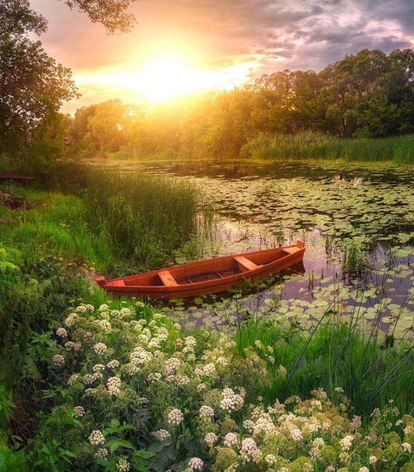 лодка на реке