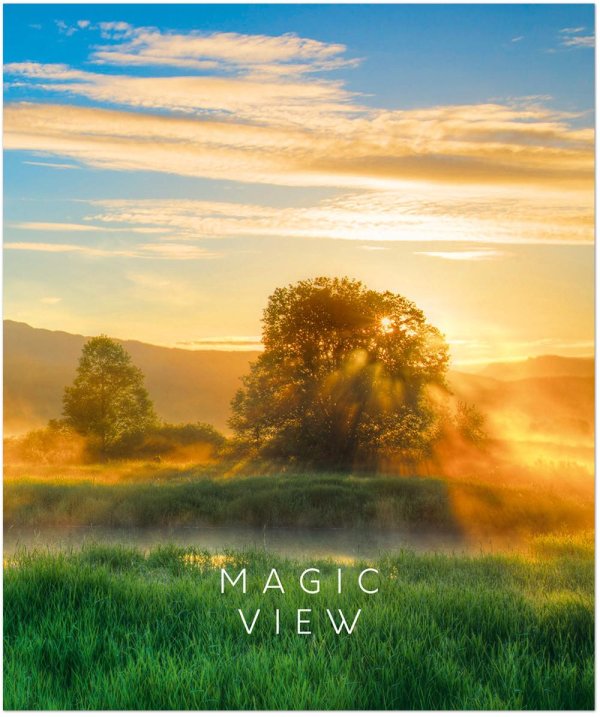 утреннее солнце