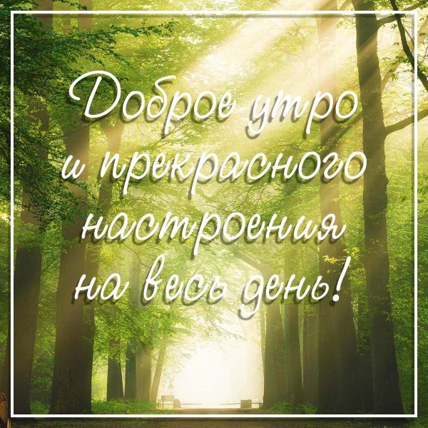 прекрасного утра доброго дня