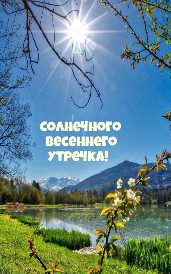 доброе утро весенняя природа