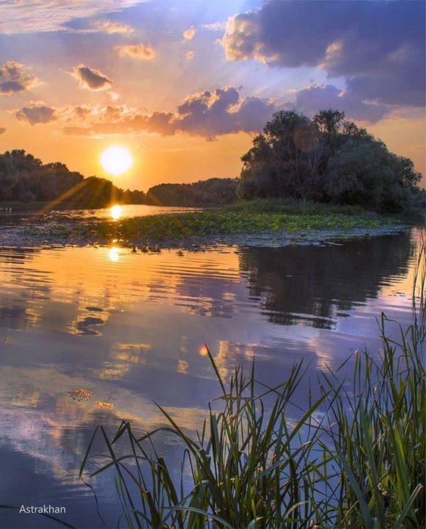 дельта реки астрахань