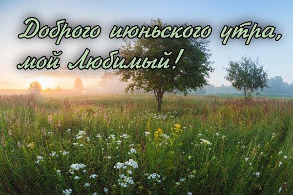 летнего утра