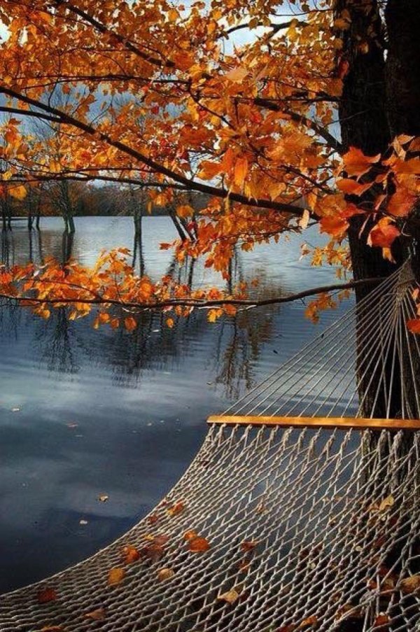 пейзажи осенние