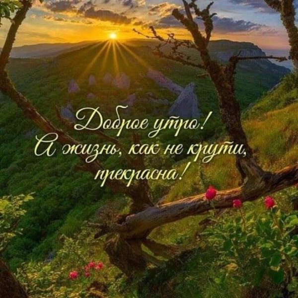 природа солнце