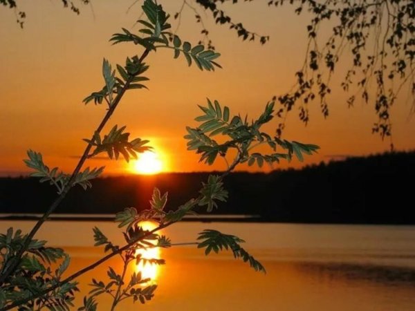 летнего вечера