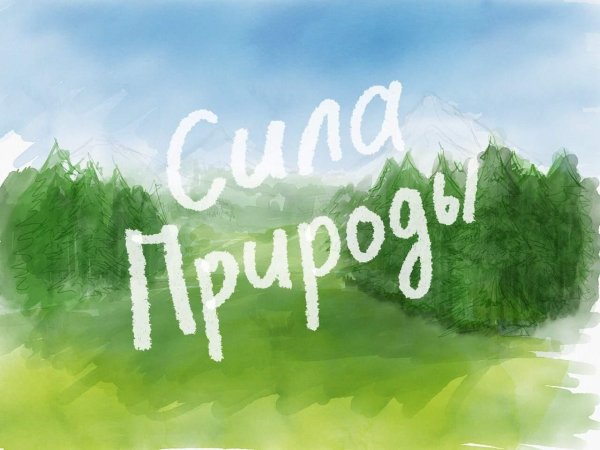 природа сил