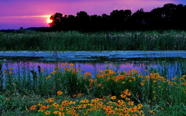 закат летний