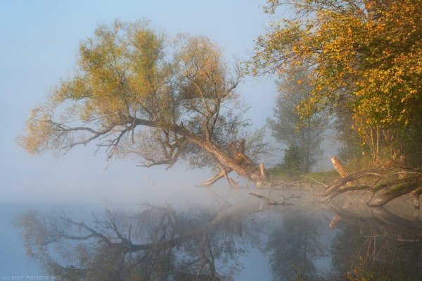 туман осень