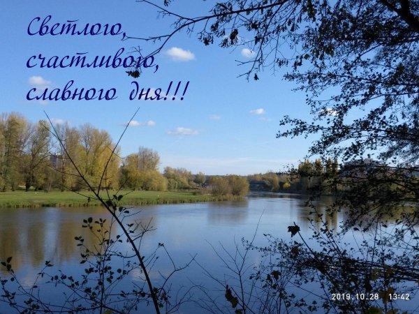 светлого дня