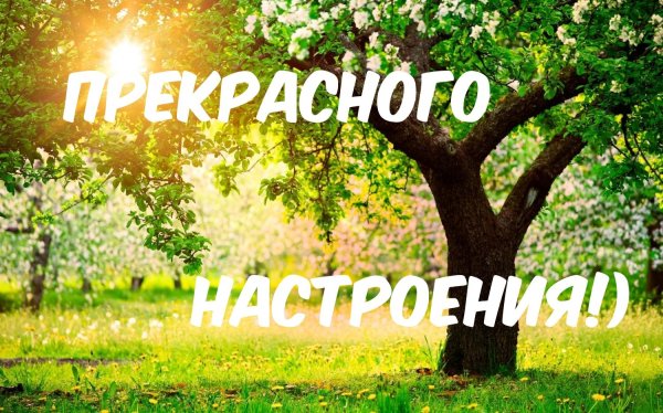 замечательного настроения
