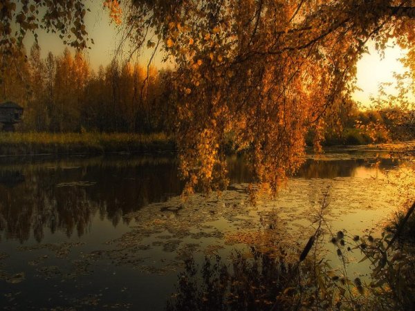 пейзажи осенние