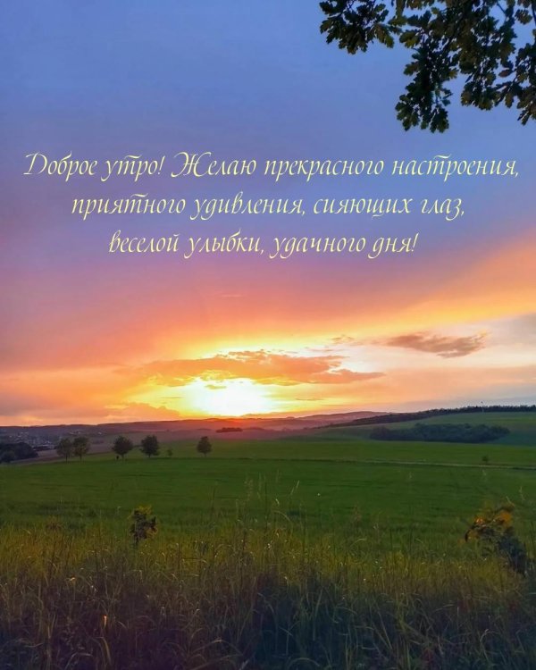 Природа с надписями