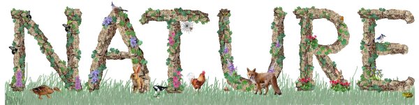 алфавит клипарт