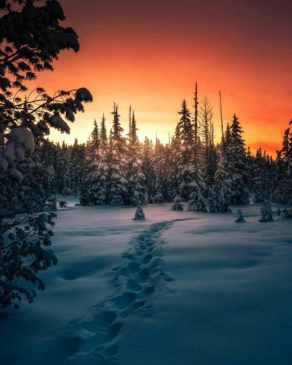 закат зимой