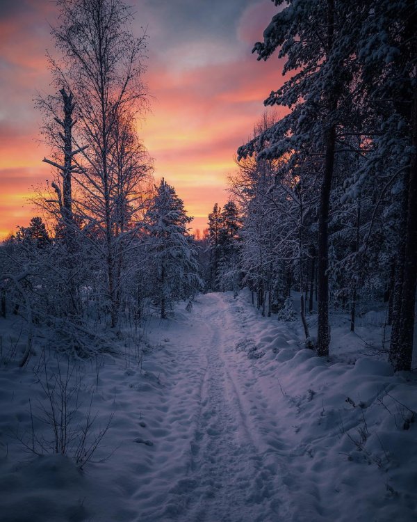 зимние закаты