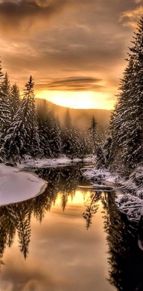 природа зимняя