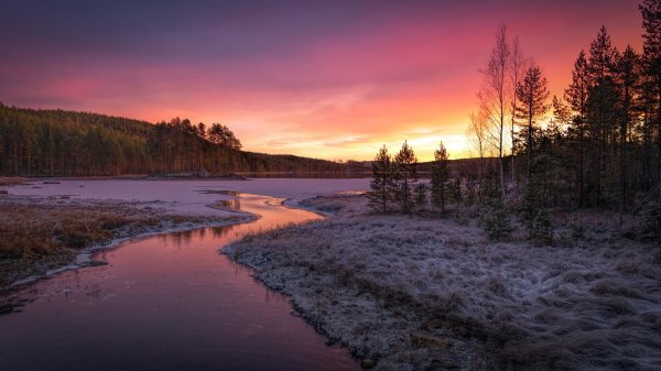 онежское озеро пейзаж