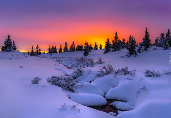 зимний рассвет