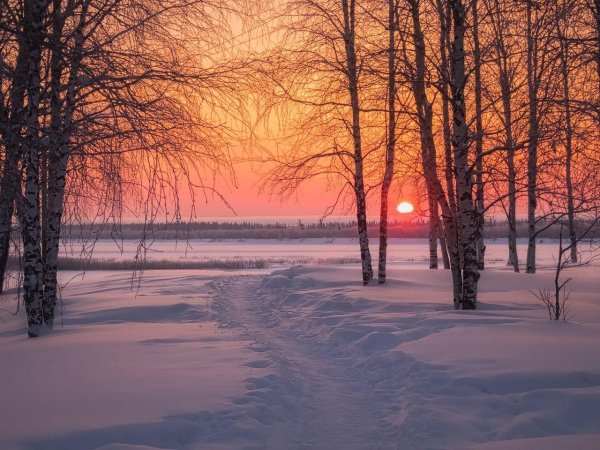 зимний рассвет