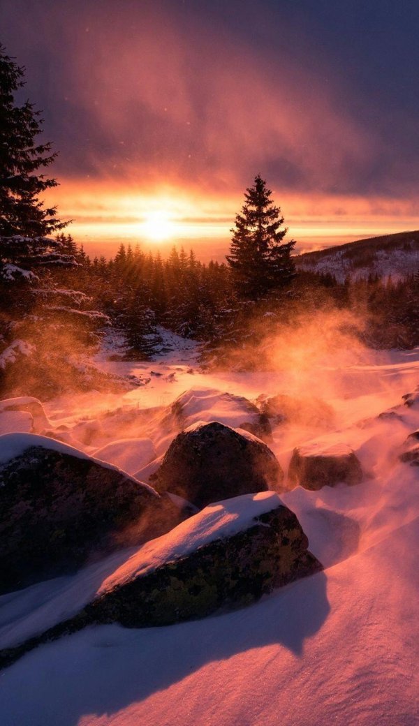 зимний рассвет