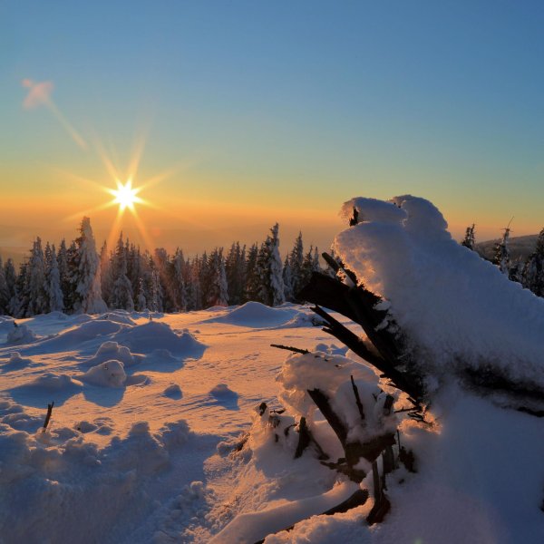 зима солнце