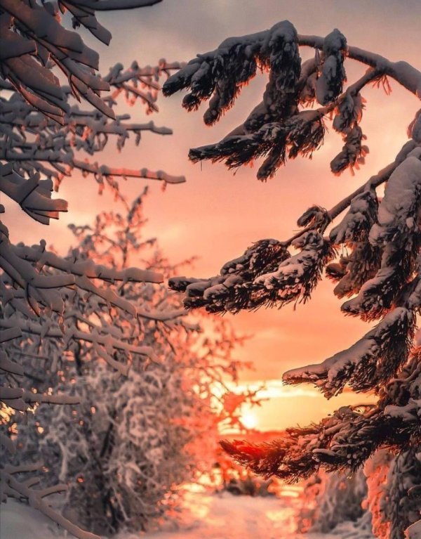 природа зимняя