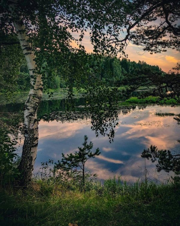 озеро березовое березово