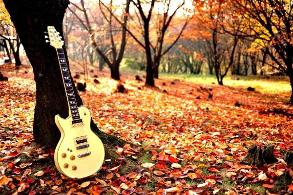 осенние листья гитара