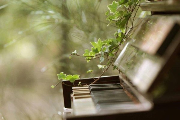 мелодия весны