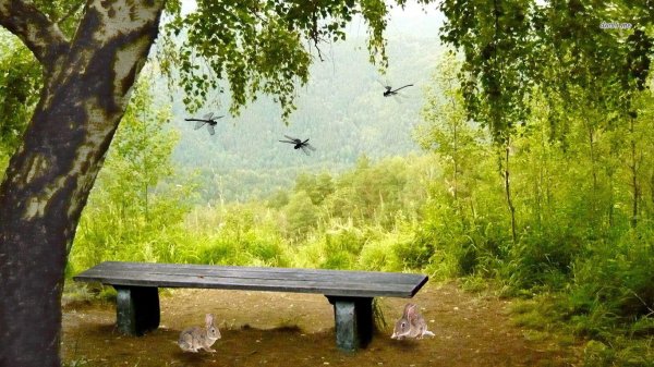 парк скамейка