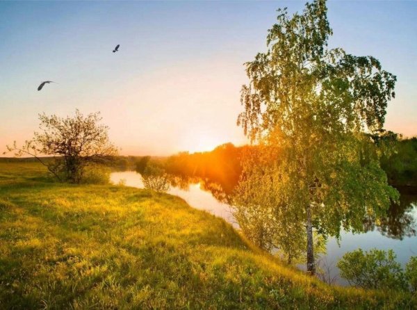 родные пейзажи