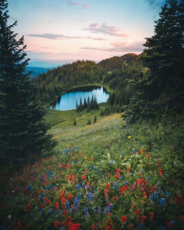 красивые пейзажи природы