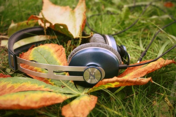 sennheiser momentum onear