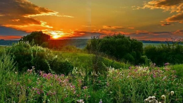 рассвет летом