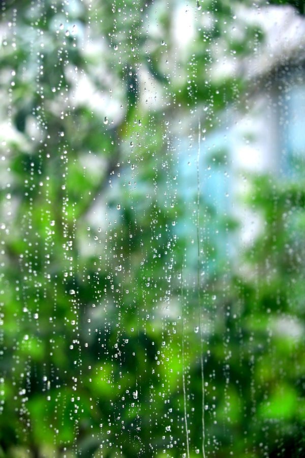 летние дожди