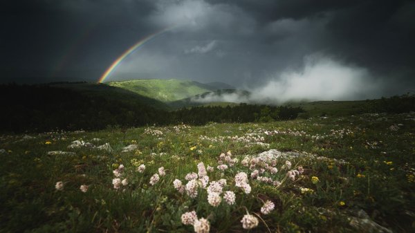 пейзаж с радугой