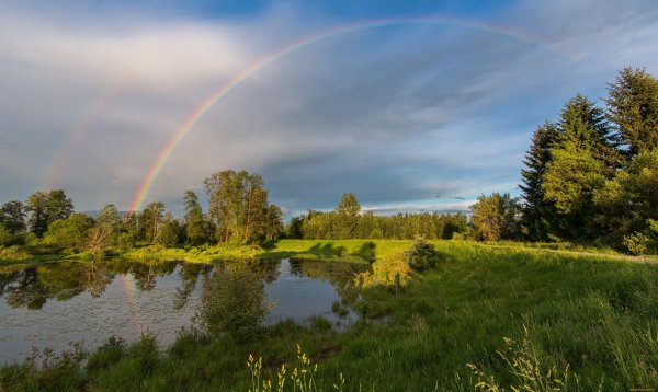 Природа и дождь