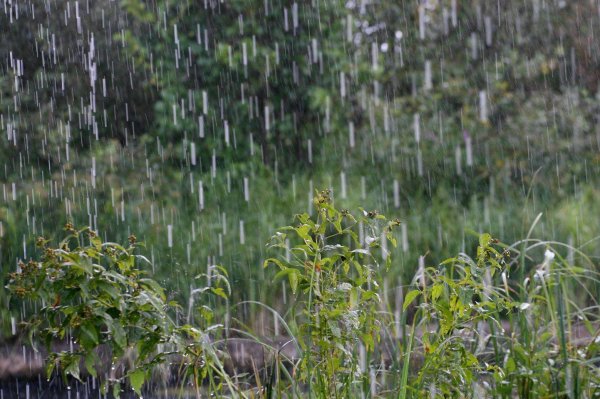 летний ливень