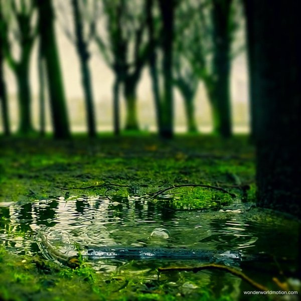 зеленая природа