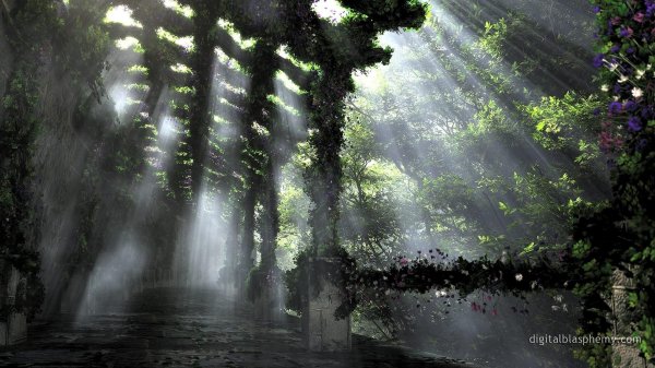 волшебная природа