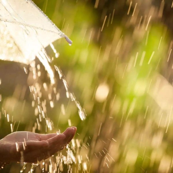 подожди дожди дожди