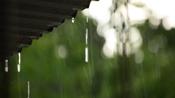 во время дождя