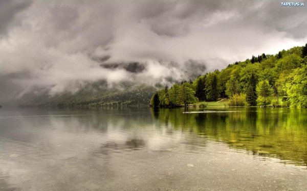 туманные пейзажи