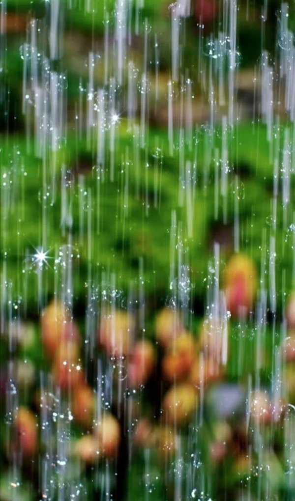 летние дожди