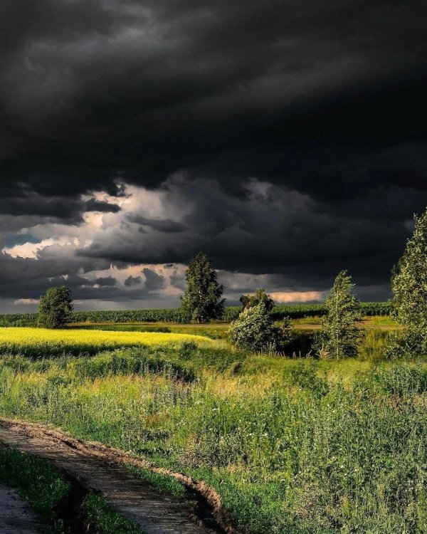 перед грозой