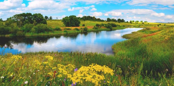 лето россия